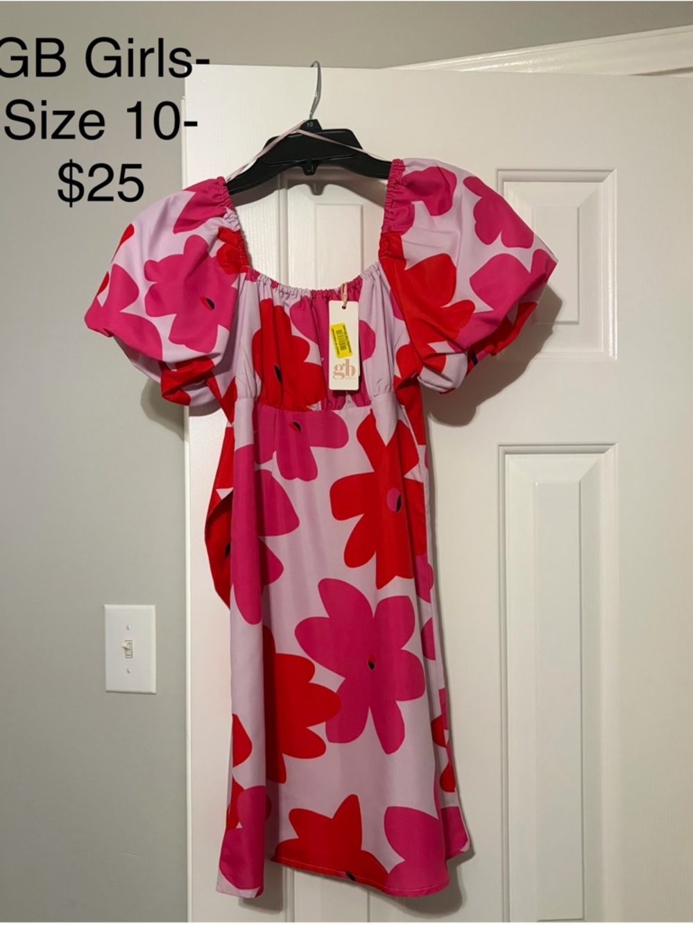 GB Girls Pink & Red Floral Puff-Sleeve Dress